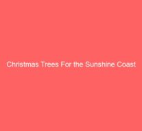 Christmas Trees For the Sunshine Coast