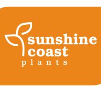 Native Plants For Your Sunshine Coast Nursery