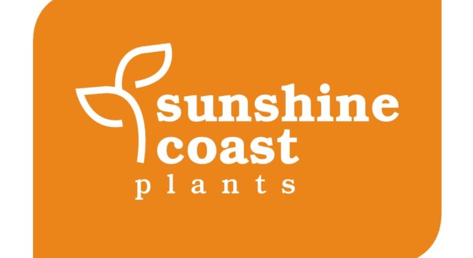 Native Plants For Your Sunshine Coast Nursery