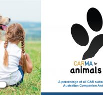 What You Need to Know About Sunshine Coast Dog Registration