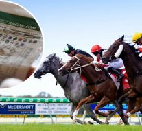 Sunshine Coast Racing Results